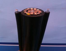 festoon system india, crane festoon manufacturers
